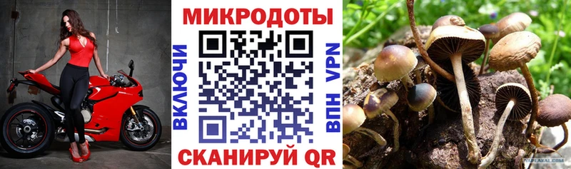 Галлюциногенные грибы GOLDEN TEACHER  как найти наркотики  Салаир 